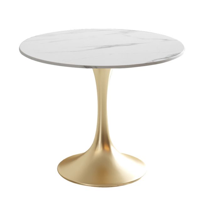 Modern Round Dining Table Sintered Stone Tulip Table for Dining Room