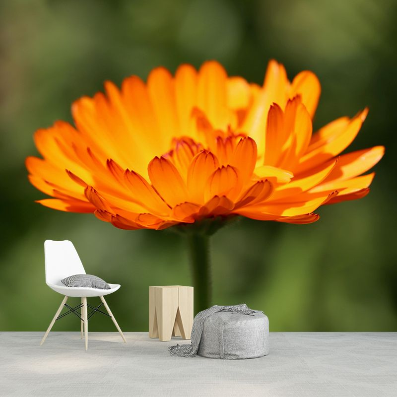 Customized Marigold Mural Wall Covering Eco-friendly Wallpaper for Bedroom