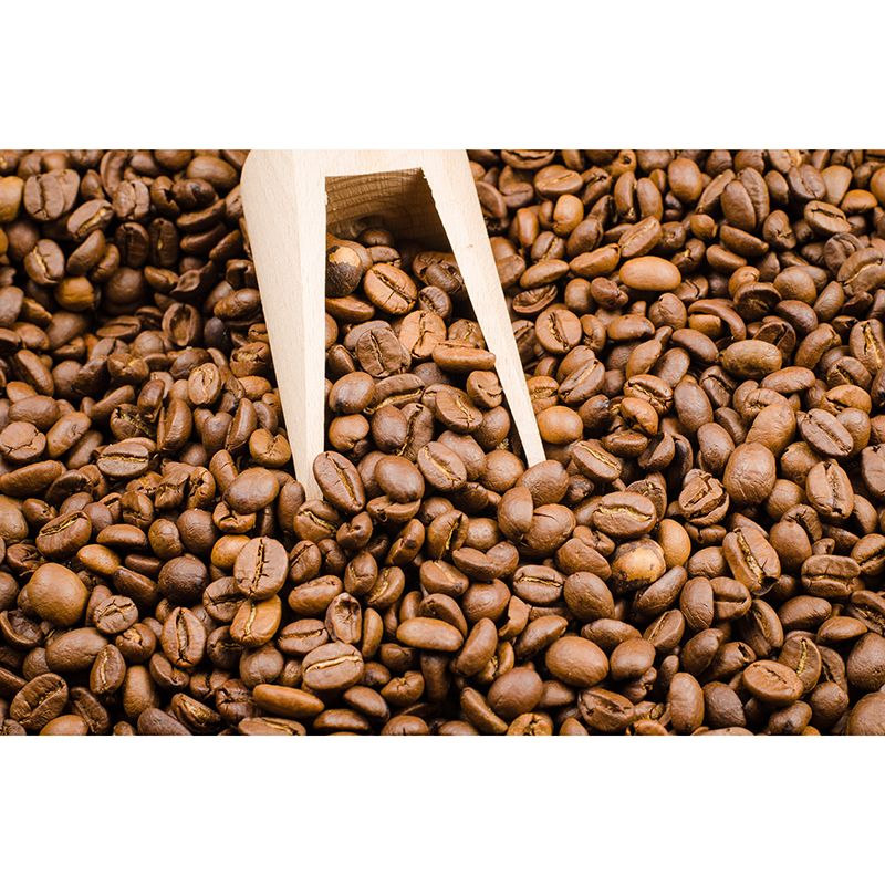 Coffee Beans Mural Wallpaper Decorative Coffee Bar Wall Art in Soft Color