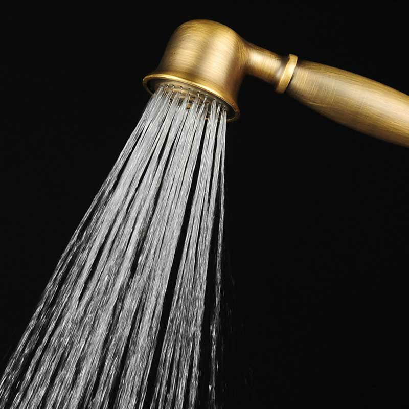 Traditional Handheld Shower Head with Hose Polished Brass Wall-Mount Showerhead