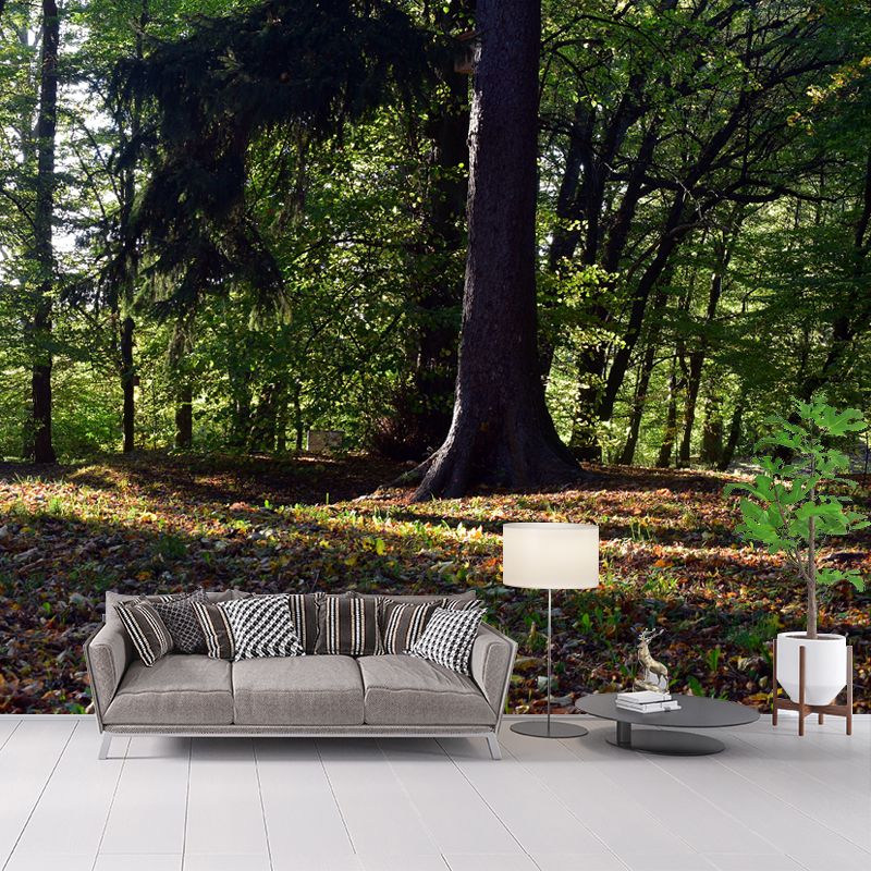 Forest Landscape Wall Murals Moisture Resistant Wall Covering for Gust Room