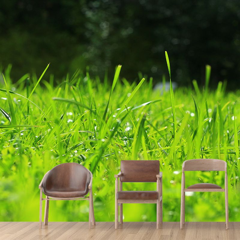 Weed Wall Mural Water Mildew Resistant Environment Friendly Wall Decor for Bedroom