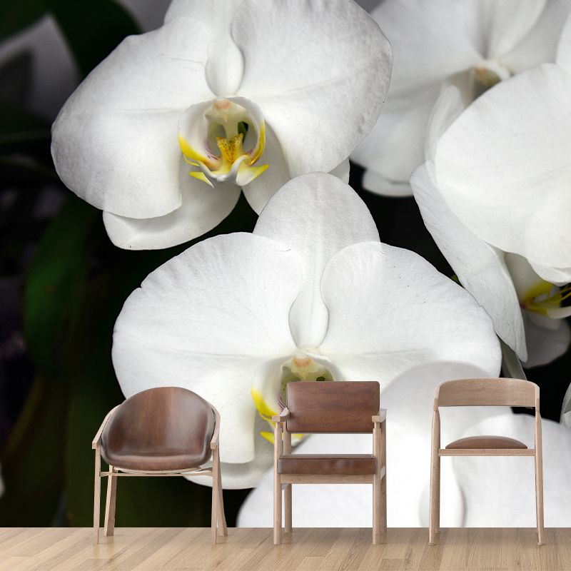 Beautiful Orchid Wall Mural Moisture Resistant Wall Decor for Sleeping Room