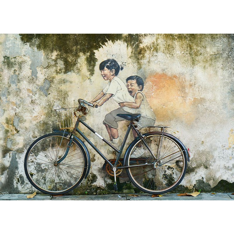 Soft Color Vintage Bicycle Wall Mural Decorative Wall Mural Stain Resistant for Living Room