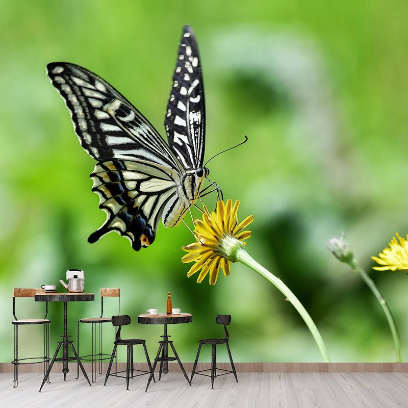 Customized Swallowtail Butterfly Mural Horizontal Photography for Sleeping Room