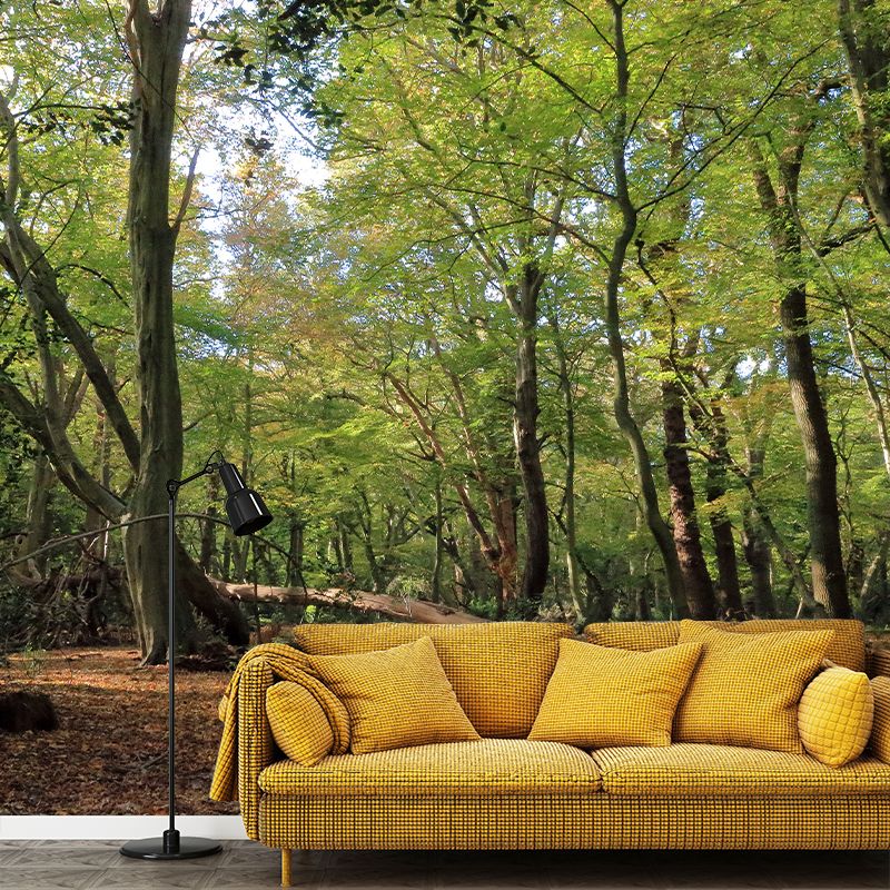 Photographic Forest Wall Mural Water Resistant Wall Decor for House Interior, Custom Size