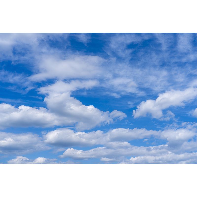 Mildew Resistant Beautiful Sky Mural for Sitting Room Decoration