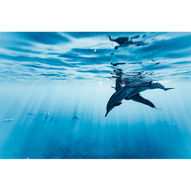 Photography Stain Resistant Wallpaper Undersea Living Room Wall Mural