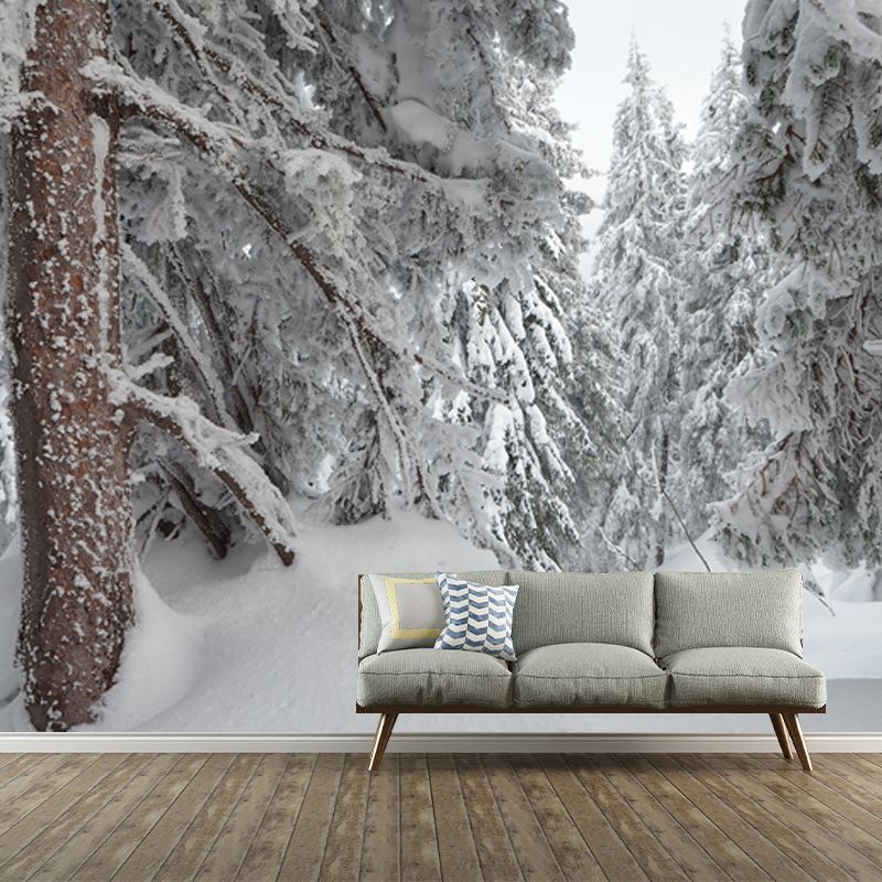 Cypress Forest after Snowfall Mural Grey Scandinavian Wall Covering for Accent Wall