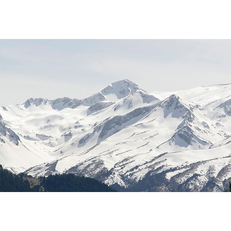 Mountain Landscapes Mural Contemporary Mildew Resistant Wall Covering for Living Room