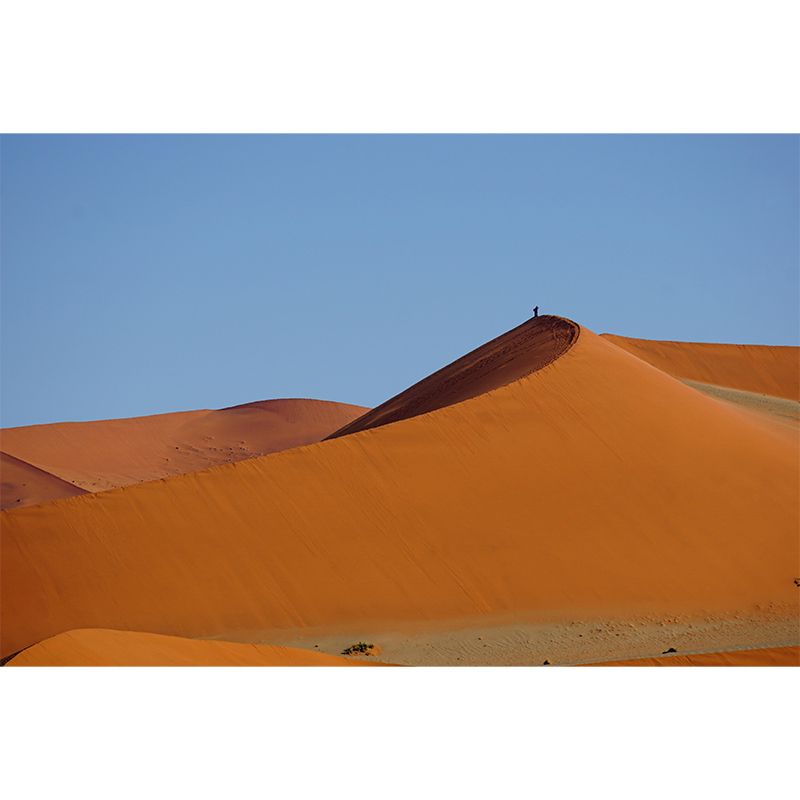 Mildew Resistant Desert Mural Decorative for Bedroom Decoration