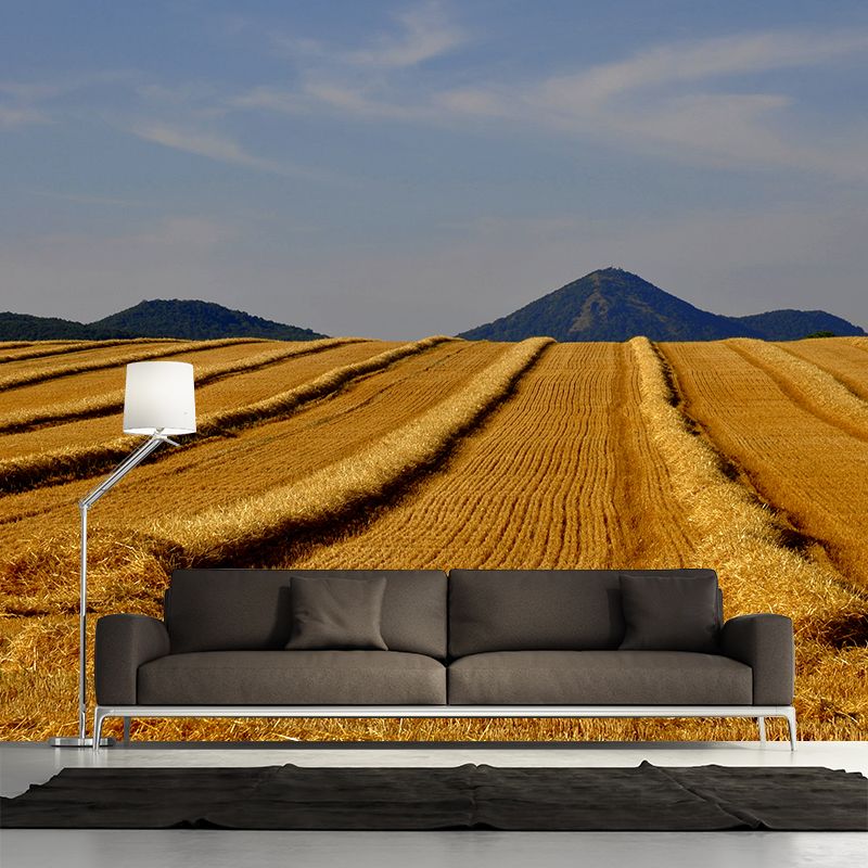 Contemporary Photo Wheat Field Mural Soft Color Stain Resistant Wall Art for Dining Room