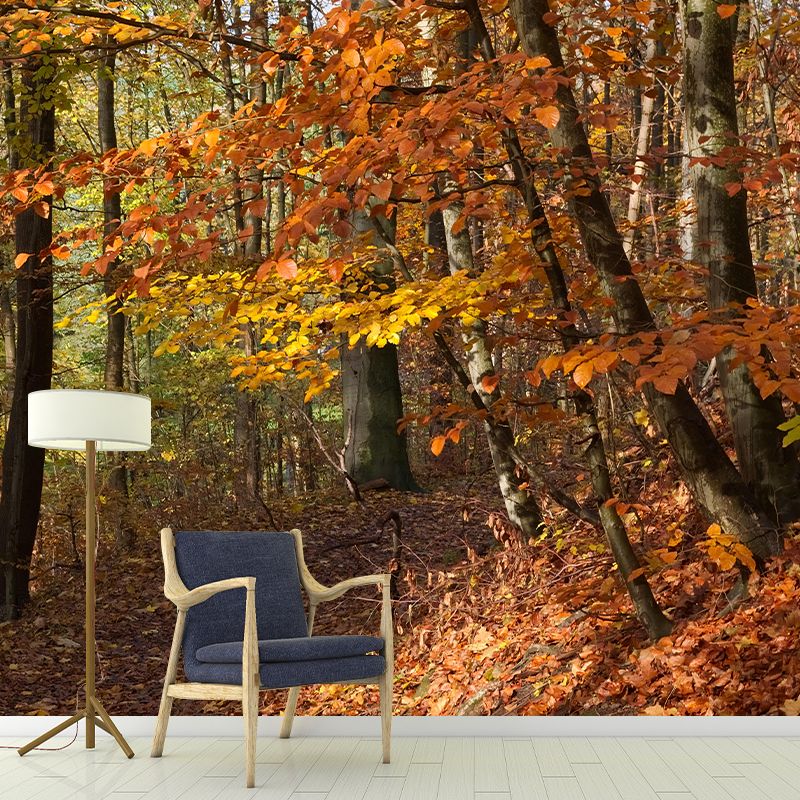 Contemporary Photography Style Forest Mural Wallpaper Mildew Resistant for Dining Room