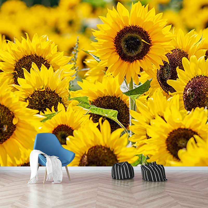 Modern Style Mural Wallpaper Flowers Photography Indoor Wall Mural