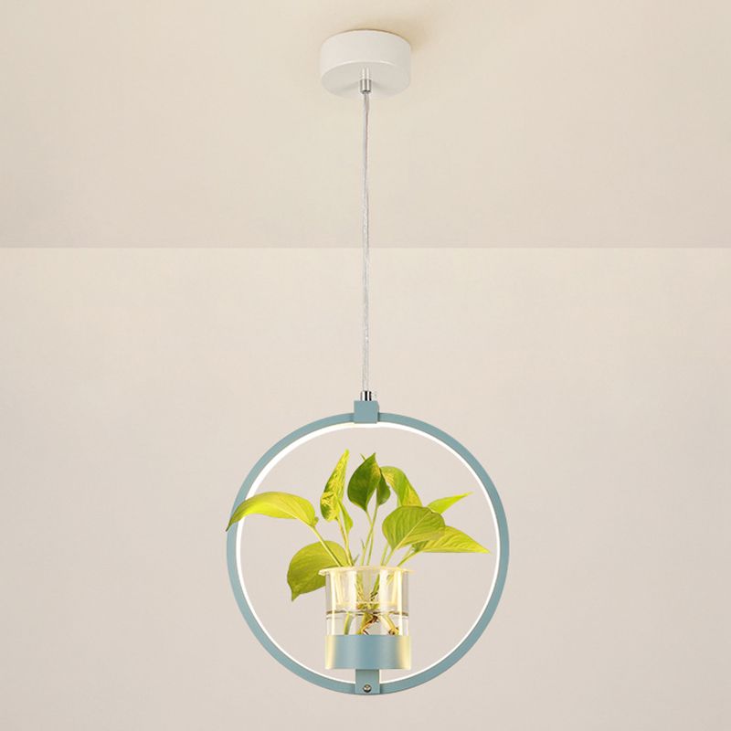 Modern Metal Hanging Lamp 1 Light Pendant Light for Dining Table  (without plants)