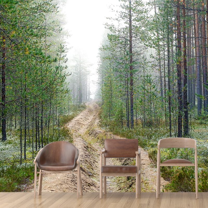 Forest Photo Wall Mural for Living Room Bedroom, Removable, Customized Size