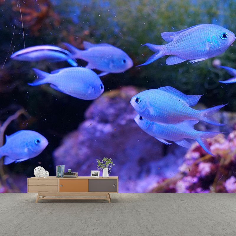 Photography Tropical Wall Mural Stain Resistant Fish Sitting Room Wall Mural