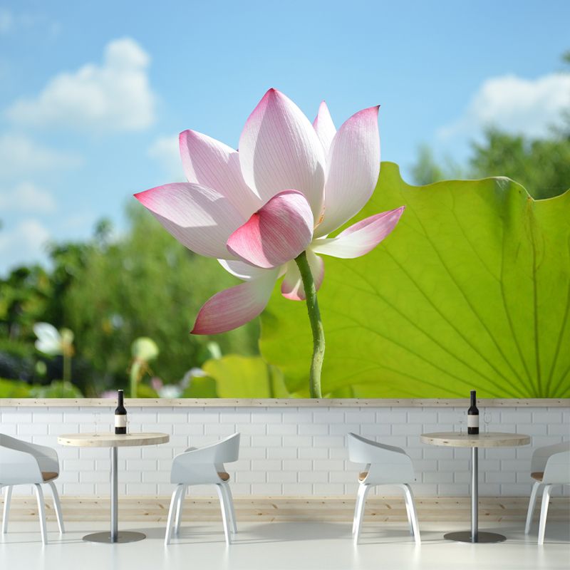 Pink Lotus Blossoming Moisture Resistant Wall Covering for Girls' Bedroom