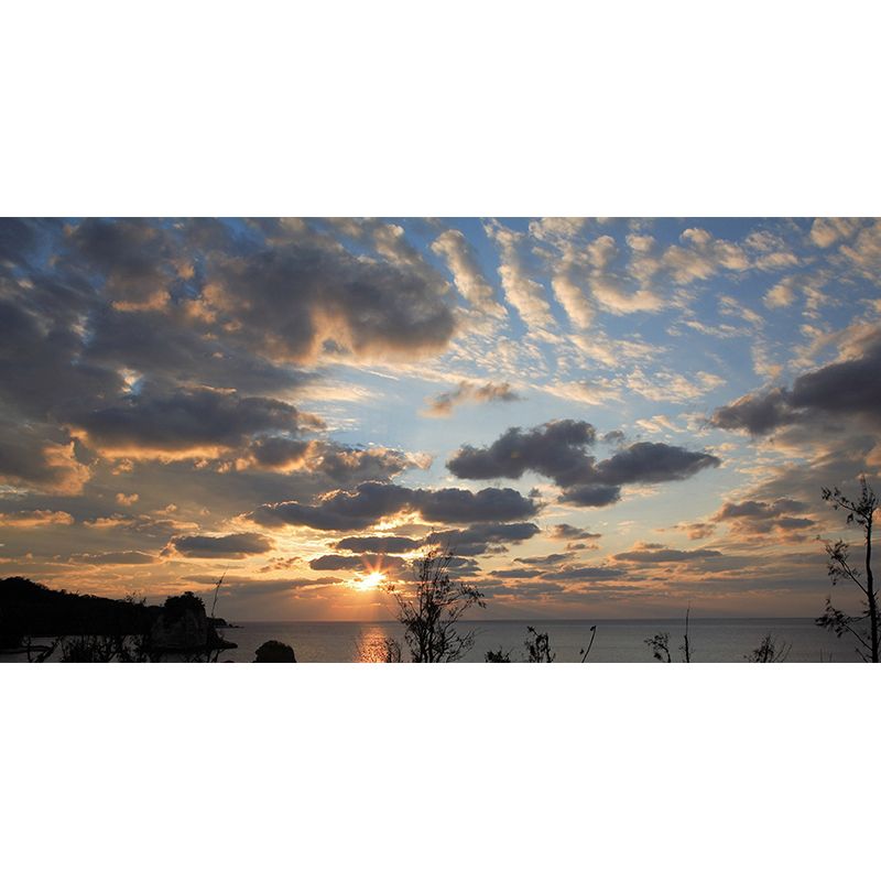 Modern Scenery Evening Clouds Mural Pastel Color Water-Proof Wall Art for Bedroom