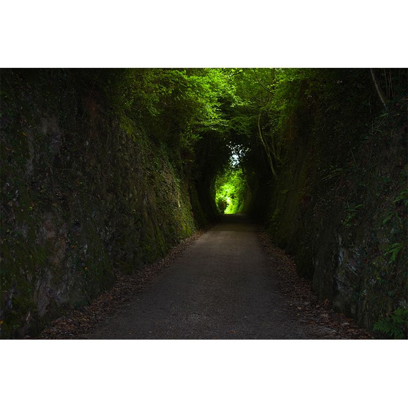 Modern Style Spatial Extension Mural Mildew Resistant Wallpaper for Home Decoration