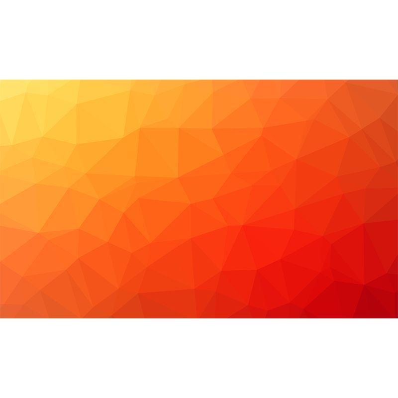 Modern Geometry Mural Decal for Study Room Washable, Custom Size Available