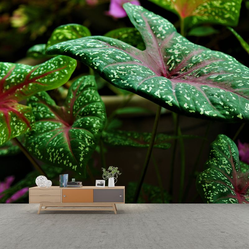 Green Caladium Mural Decal Moisture Resistant for Reading Room, Made to Measure