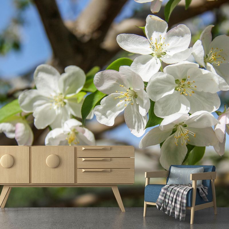 Customized Blooming Begonia Mural Wallpaper Contemporary for Guest Room Decor