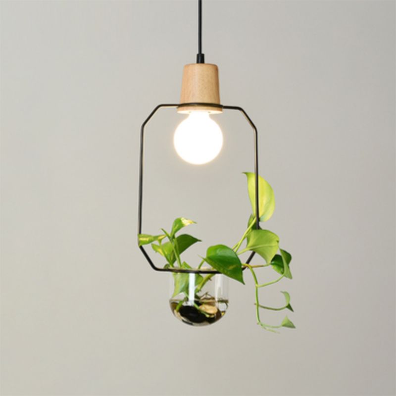 Planter Hanging Lamp Contemporary Clear Glass 1-Light Study Room Lighting Pendant