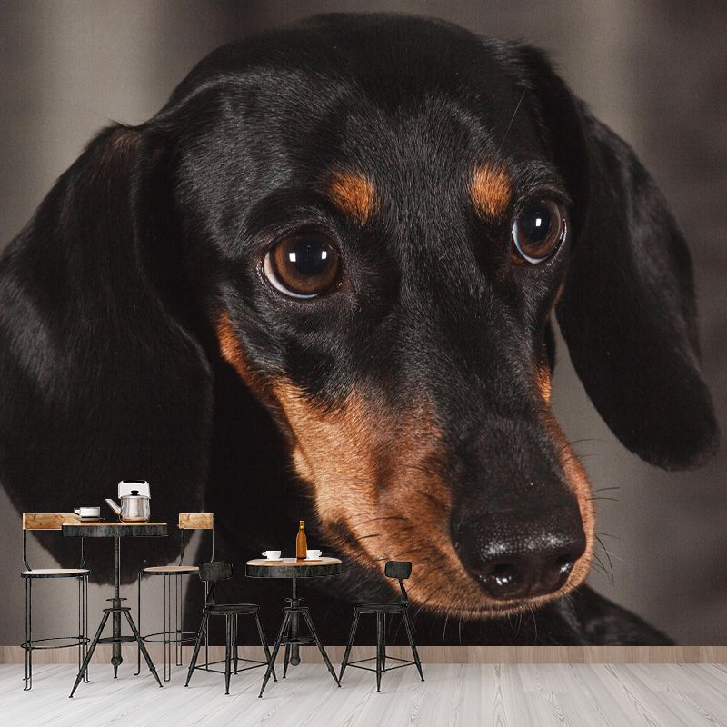 Lovely Dachshund Dog Mural Wall Decor Living Room Wall Covering for Decoration