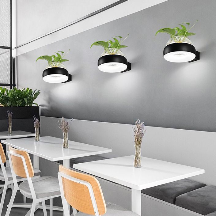 Modern Creative Plant Wall Sconce Light Glass Pot with Acrylic LED Wall Mount Lamp