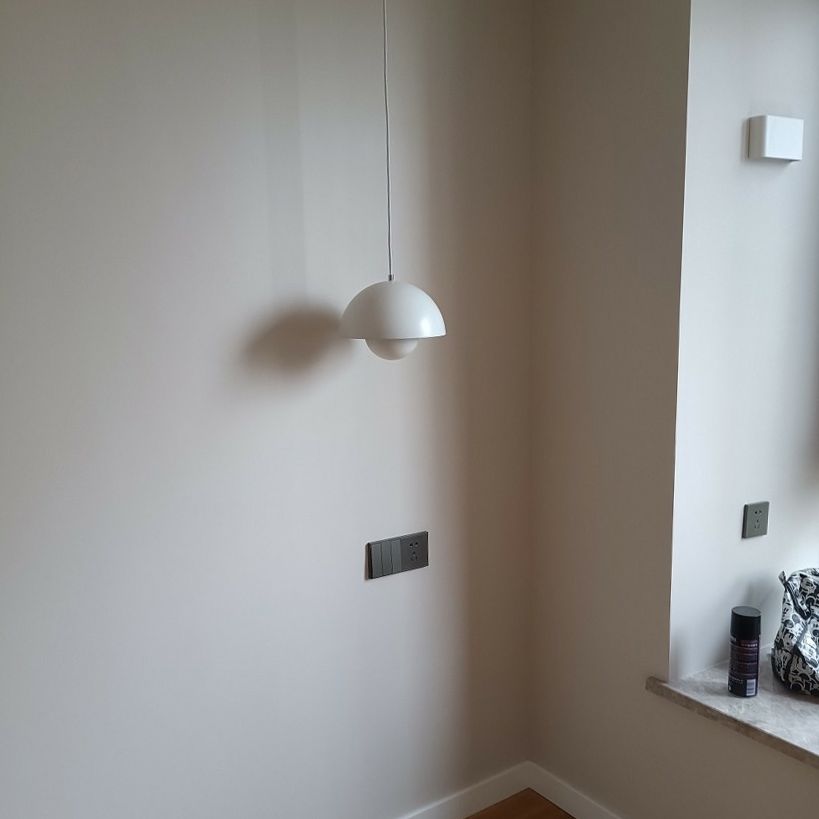 1 Light Metal Pendant Lighting Fixtures Modern Dome Dining Room Hanging Pendant Lights