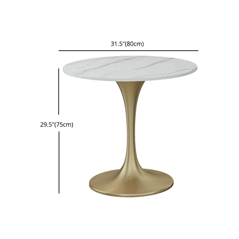 Glam 1/2/3/4/5 Pieces Sintered Stone Dining Set Dining Furniture Set /Separate Items