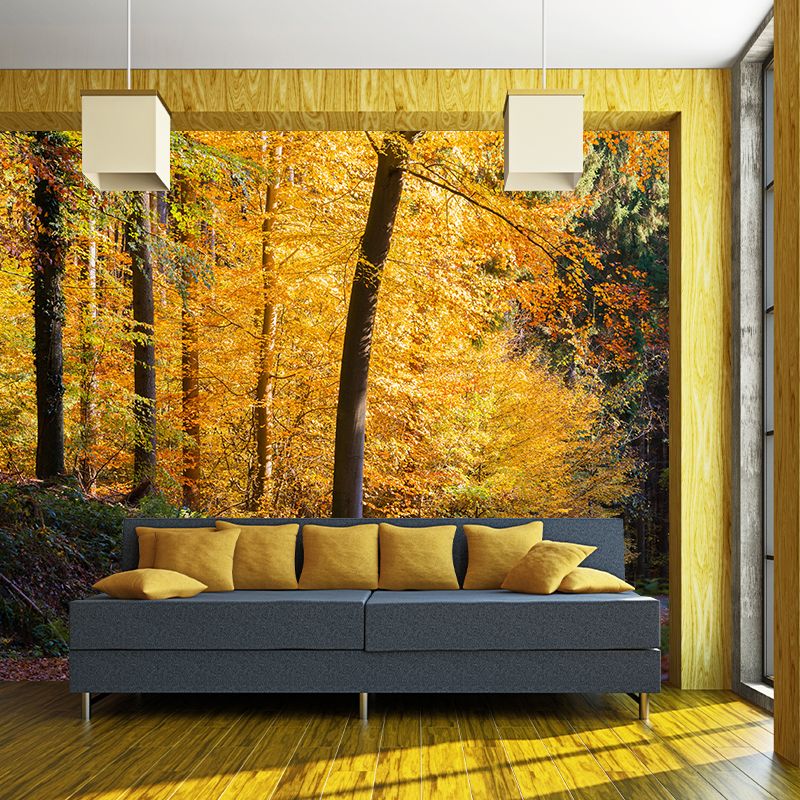 Simple Forest Photo Stain Resistant Mural Decal Modern Wall Decor for Sleeping Room
