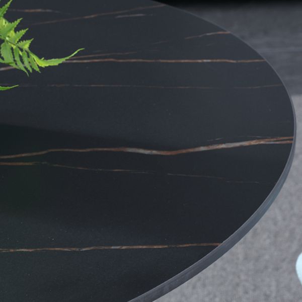 Contemporary Style Sintered Stone Dining Table Metallic Tulip Base Round Table for Home