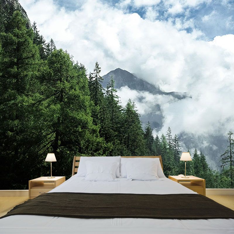 Natural Scene Contemporary Style Forest Mural Horizontal Photography Room Wall Mural