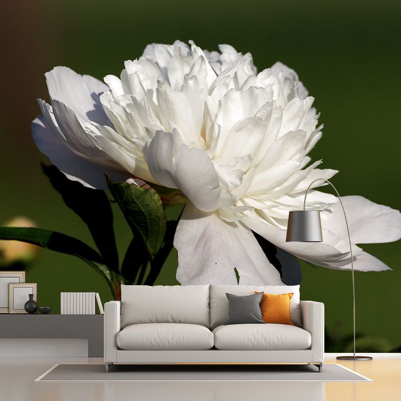 Delicate Peony Houses Mural Decal for Girls' Bedroom, Moisture Resistant