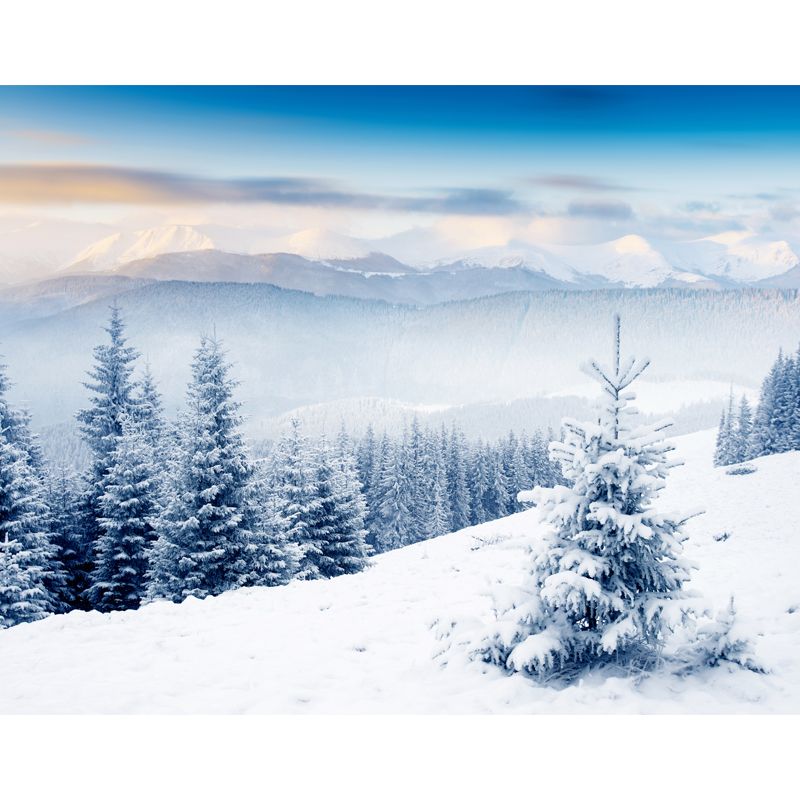 White Snow Scenery Mural Wallpaper Cypress with Rime Modern Washable Wall Covering