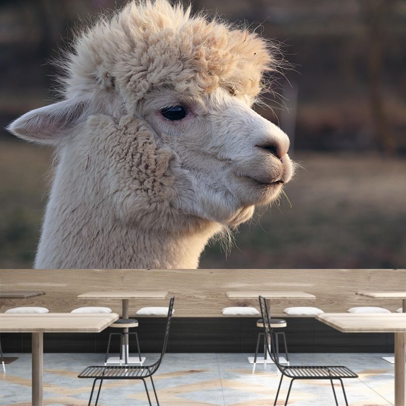 Alpaca Portrait Mural Wallpaper Contemporary Style Wall Covering for Living Room