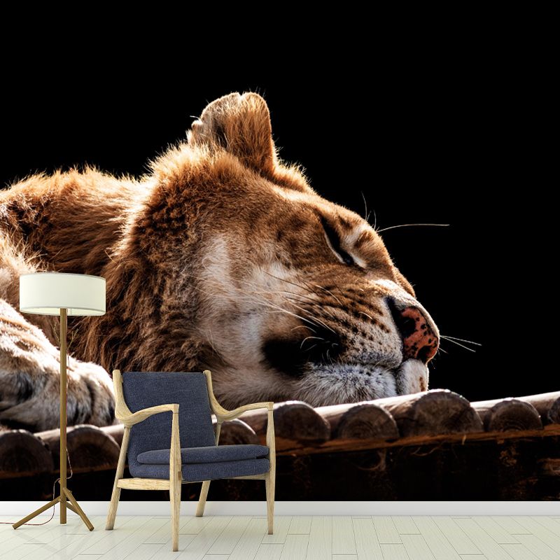 Modern Lioness Mural Wallpaper Moisture Resistant Living Room Wall Covering