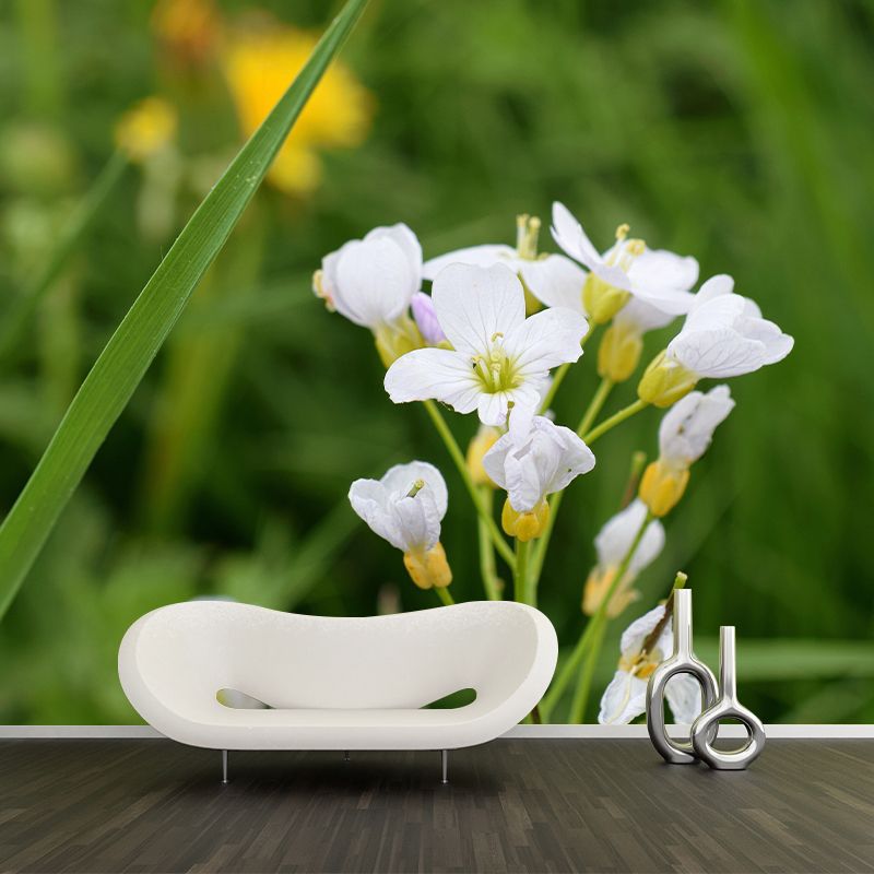 Customized Contemporary Scumwort Mural Mildew Resistant for Sitting Room Bedroom