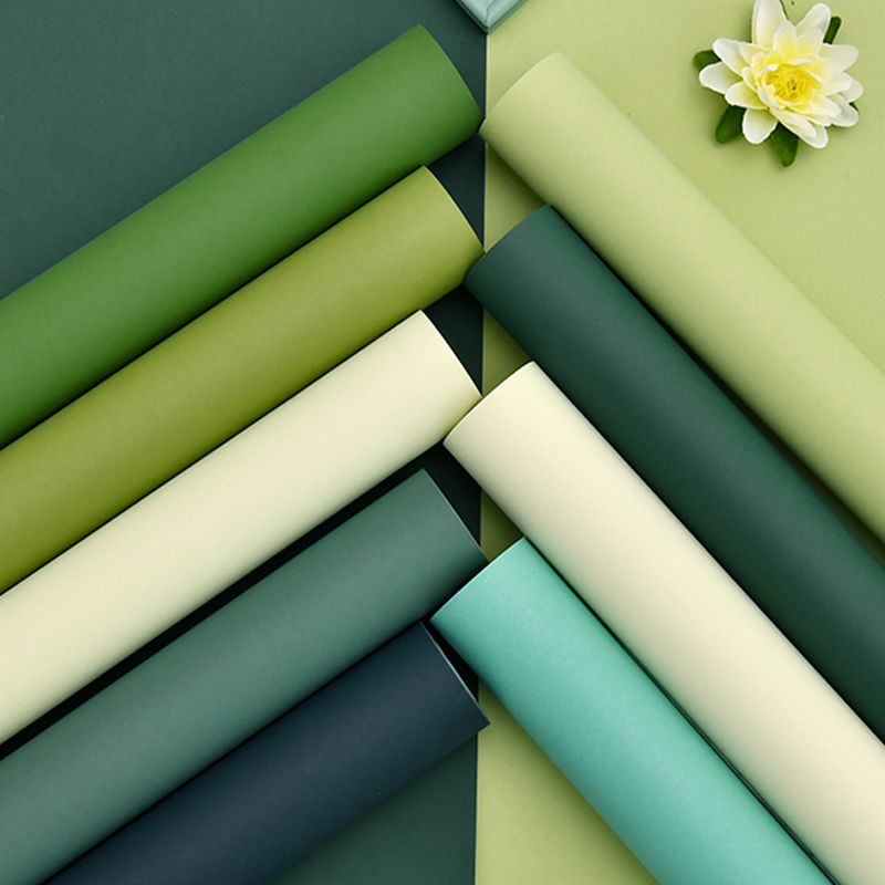 Washable Plain Wallpaper Roll 54.2-sq ft Minimalist Aesthetic Wall Art for Bedroom