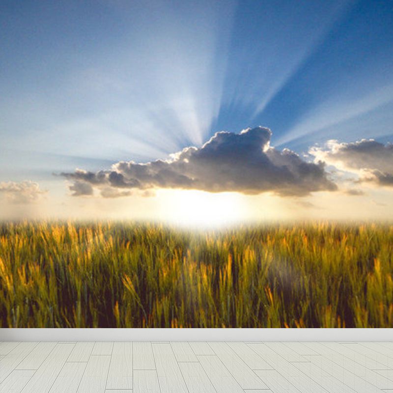 Stain-Proofing Sky View Wall Mural Non-Woven Cloth Contemporary Wall Art for Living Room