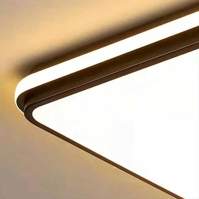 Minimalism Ceiling Light Fixture Black Flush Mount with Metal for Living Room