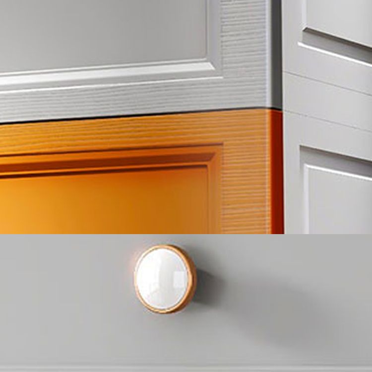 Plastic Contemporary Bedroom Cabinet Matte Finish Storage Cabinet with Drawers