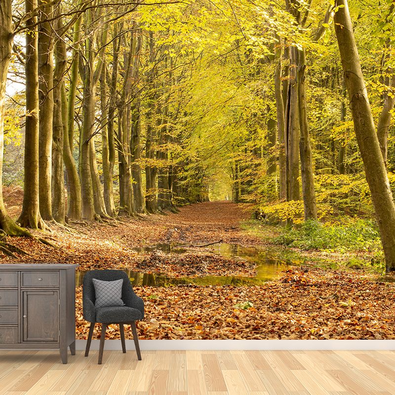 Forest Scenery Moisture Resistant Living Room Wall Decor, Custom Size Available