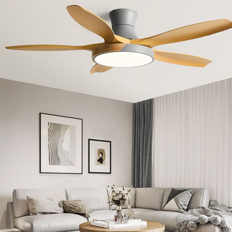 1 - Light Contemporary Ceiling Fan Metal 5 - Blades Fan Lighting Fixture