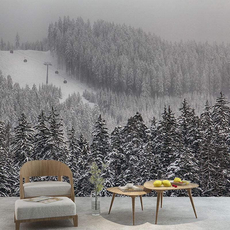 Mountain Forest Mural Horizontal Photography Sitting Room Wall Mural