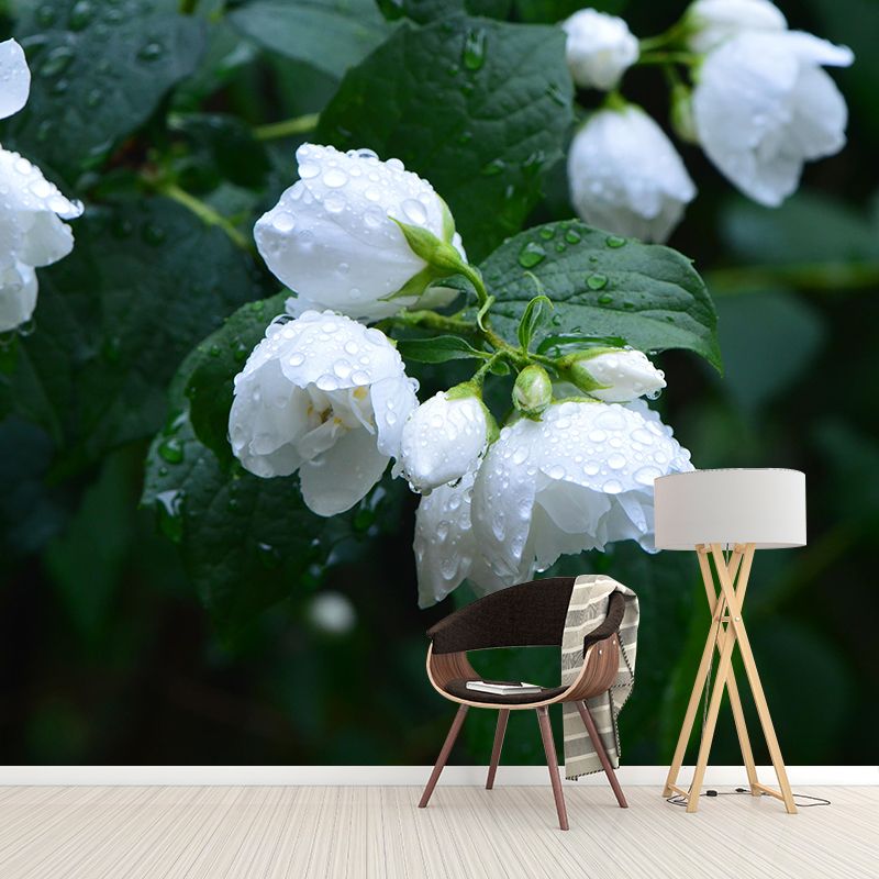 Photography Blossoming Jasmine Mural Decal Mildew Resistant Whole Wall Decor for Girls Room
