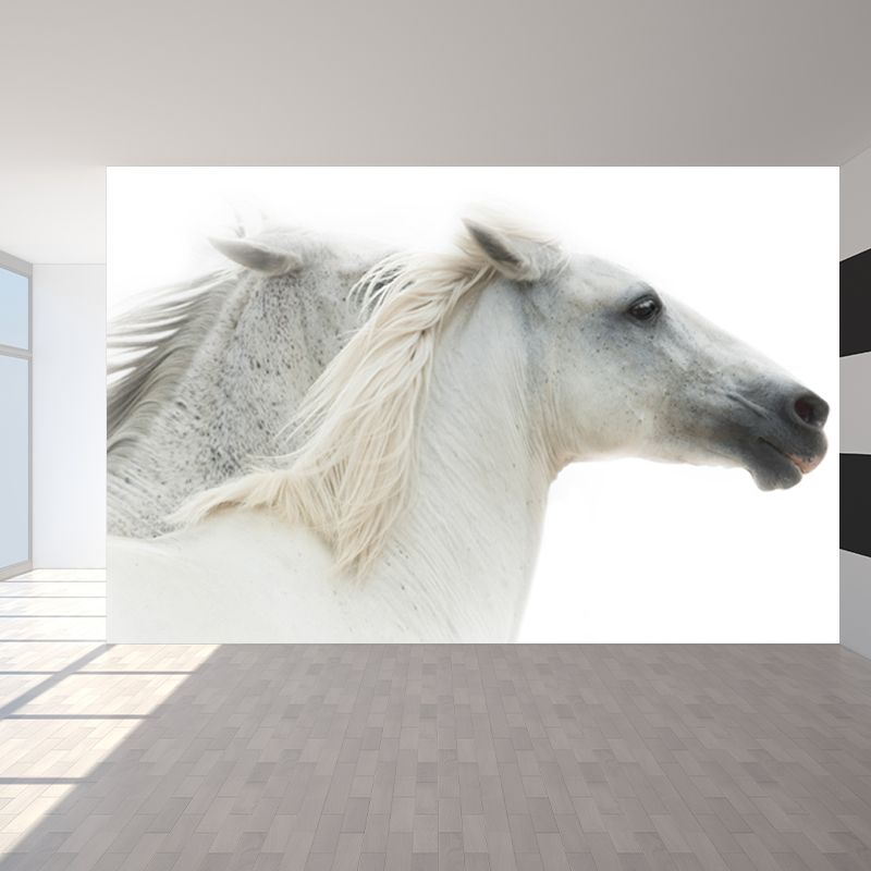 Modern Horse Wall Mural Non-Woven Stain Resistant Dark Color Wall Covering for Room