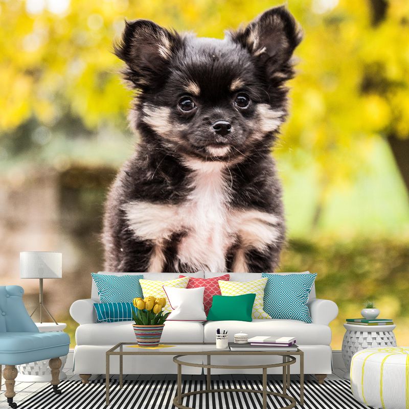 Horizontal Photography Chihuahua Mural Stain Resistant Wall Art for Living Room